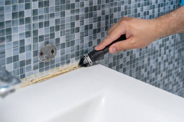 Best Home Mold Removal  in New Hartford Center, CT