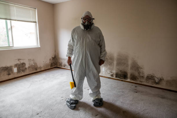 Best Mold Removal Near Me  in New Hartford Center, CT